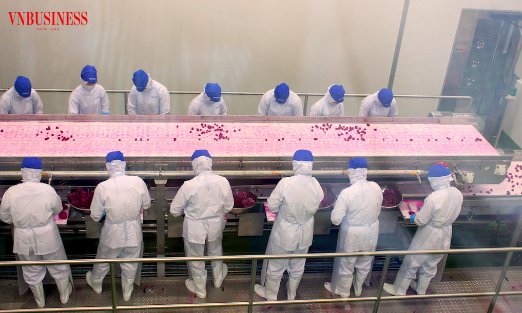 Vận hội mới của chuỗi giá trị nông sản Việt đang kỳ vọng vào vai trò dẫn dắt của doanh nghiệp trong khâu chế biến và tiêu thụ.