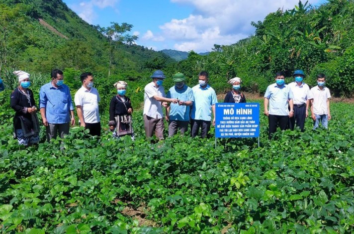 Mô hình HTX ứng dụng công nghệ cao đang được nhiều địa phương coi là đòn bẩy phát triển kinh tế nông thôn.