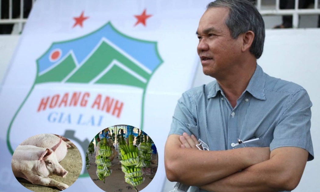 HAGL lựa chọn chậm lại để đi bền