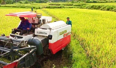 Nhiều HTX đã chủ động đổi mới tư duy sản xuất