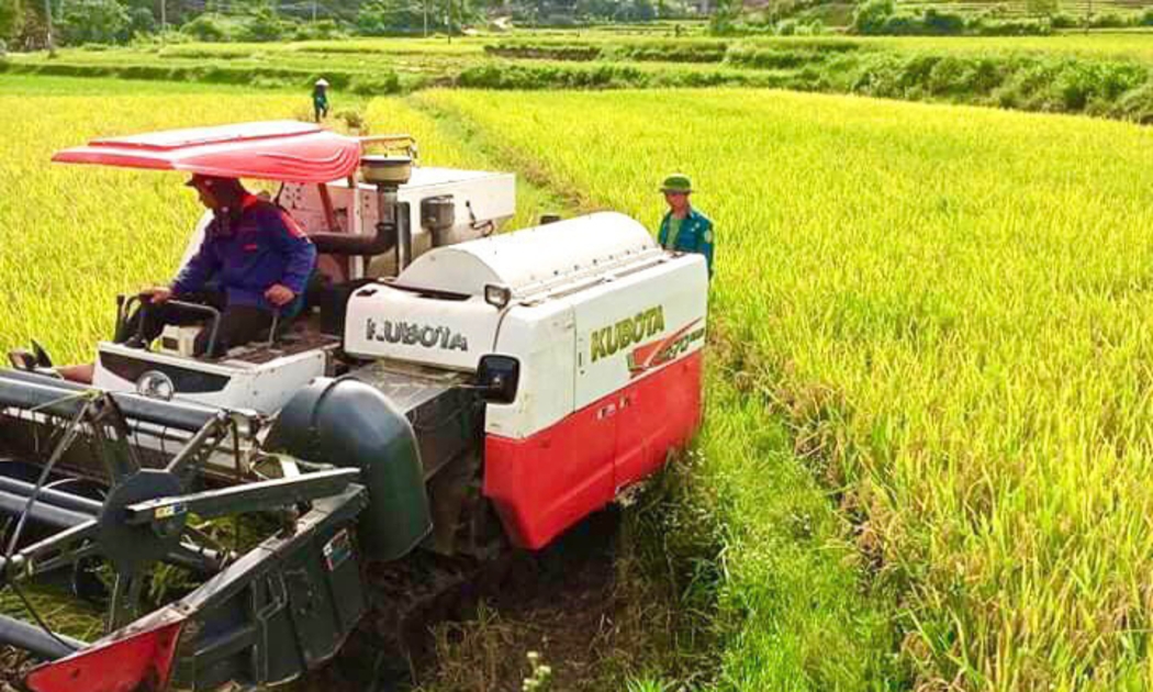 Nhiều HTX đã chủ động đổi mới tư duy sản xuất