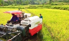 Nhiều HTX đã chủ động đổi mới tư duy sản xuất