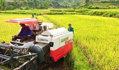 Nhiều HTX đã chủ động đổi mới tư duy sản xuất