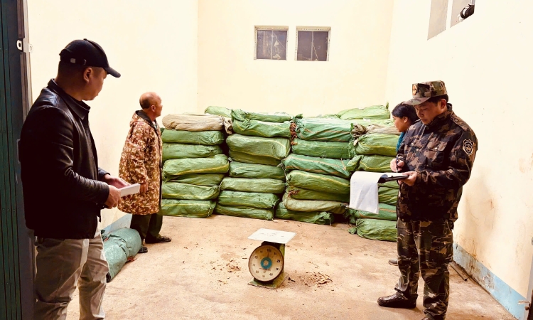 Hải quan liên tiếp phát hiện, ngăn chặn thực phẩm bẩn dịp cận Tết