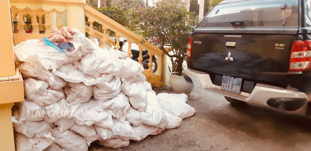 1.000 kg chân lợn đông lạnh vừa bị lực lượng chức năng bắt giữ.