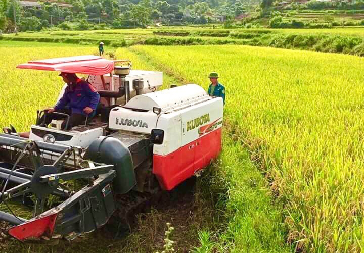 Nhiều HTX đang đẩy mạnh tái cơ cấu ngành nông nghiệp theo hướng ứng dụng công nghệ cao.