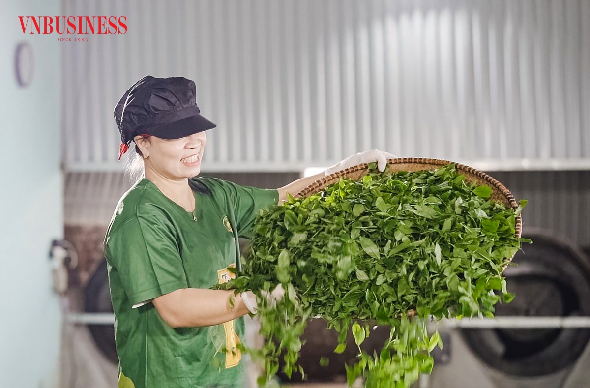 Chuyển đổi số đang mở ra hướng đi mới cho các HTX , nơi truyền thống không bị thay thế mà được nâng lên bởi công nghệ.