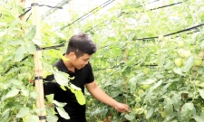 HTX công nghệ cao Tân Lập, xã Tân Yên, tỉnh Sơn La