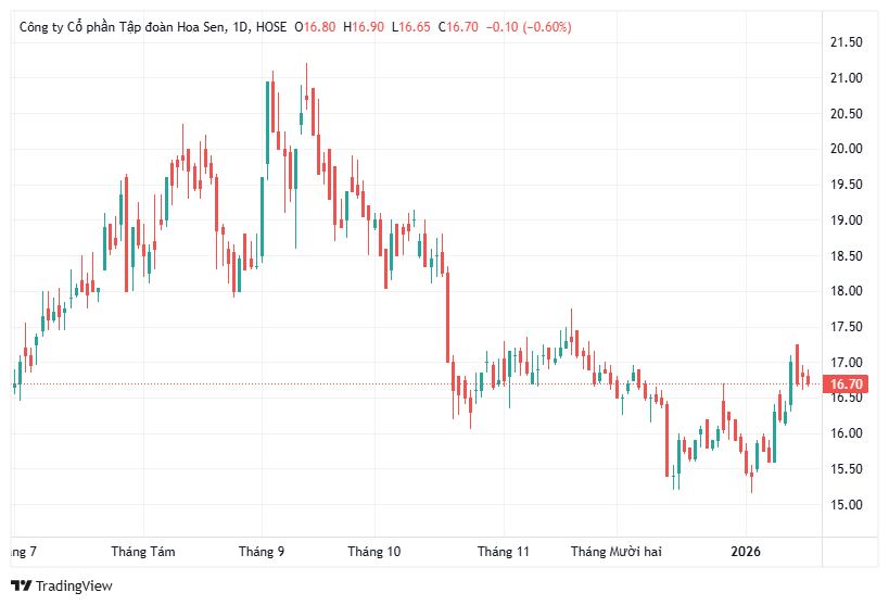 Diễn biến giá cổ phiếu HSG trong thời gian qua.