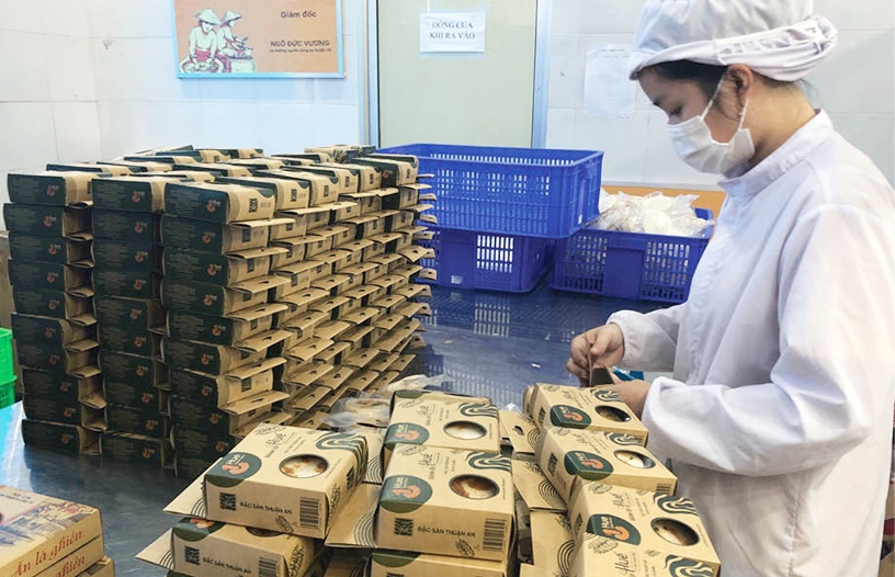 Để sở hữu trí tuệ thực sự trở thành động lực phát triển HTX, cần tiếp tục nâng cao hiệu lực, hiệu quả quản lý nhà nước trong lĩnh vực này.