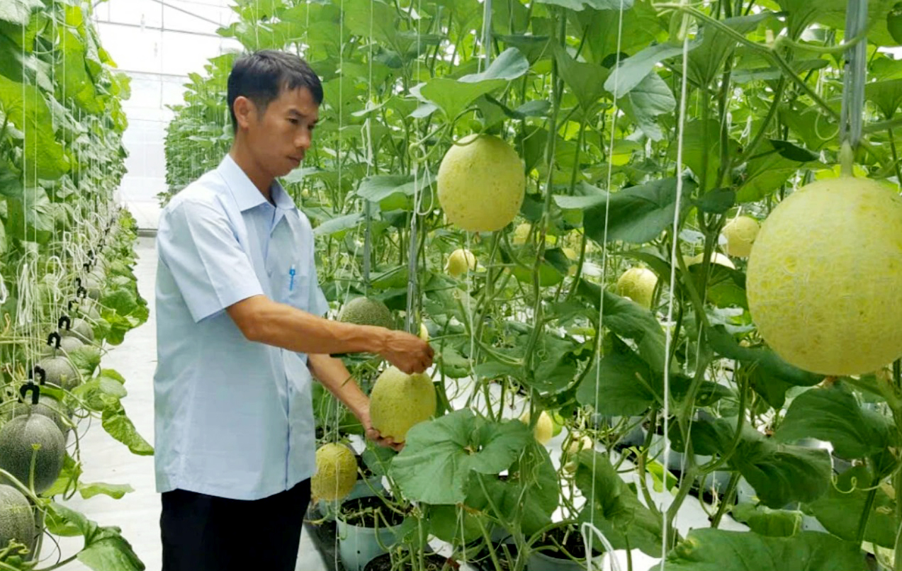 ‘Tấm vé thông hành’ giúp nông sản Huế chinh phục thị trường