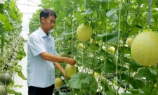 Phát triển HTX gắn với sở hữu trí tuệ