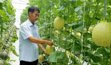 ‘Tấm vé thông hành’ giúp nông sản Huế chinh phục thị trường