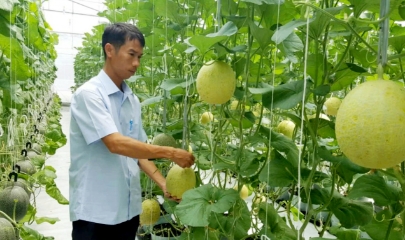 Phát triển HTX gắn với sở hữu trí tuệ