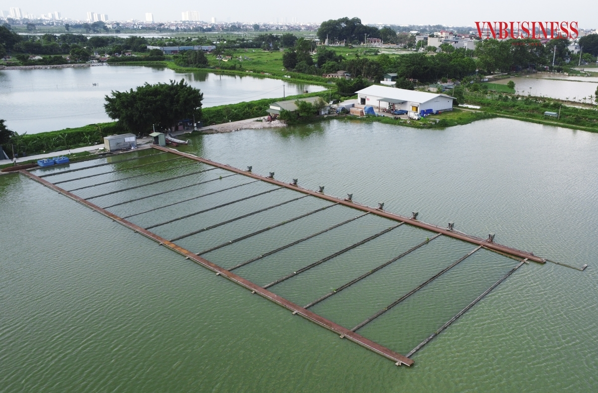 HTX kiểu mới và bước chuyển đứng trước thị trường để dẫn dắt chuỗi giá trị