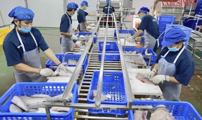 HTX kiểu mới, đứng trước thị trường để dẫn dắt chuỗi giá trị
