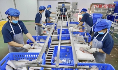 HTX kiểu mới, đứng trước thị trường để dẫn dắt chuỗi giá trị