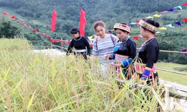 HTX Yến Dương (xã Thượng Minh, tỉnh Thái Nguyên)