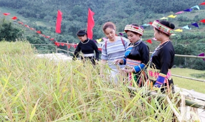 HTX Yến Dương (xã Thượng Minh, tỉnh Thái Nguyên)