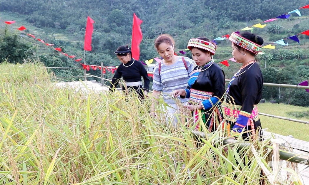 HTX Yến Dương (xã Thượng Minh, tỉnh Thái Nguyên)