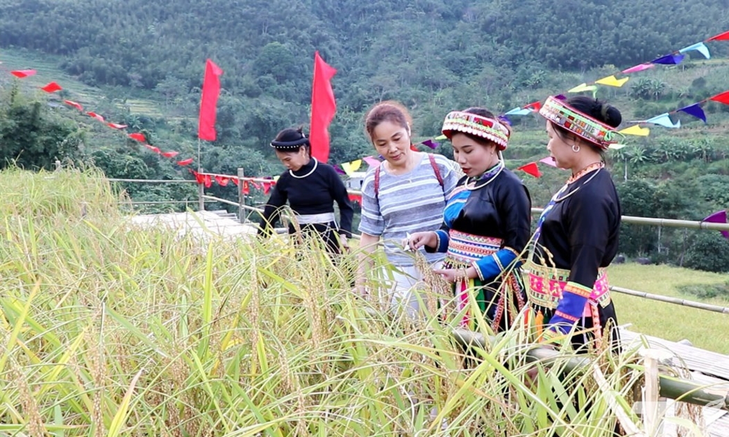 HTX Yến Dương (xã Thượng Minh, tỉnh Thái Nguyên)