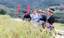 HTX Yến Dương (xã Thượng Minh, tỉnh Thái Nguyên)