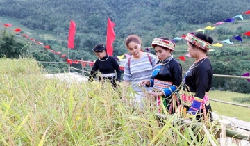 Một HTX ở Thái Nguyên bắt tay liên kết, hình thành ‘hệ sinh thái’ bạc tỷ