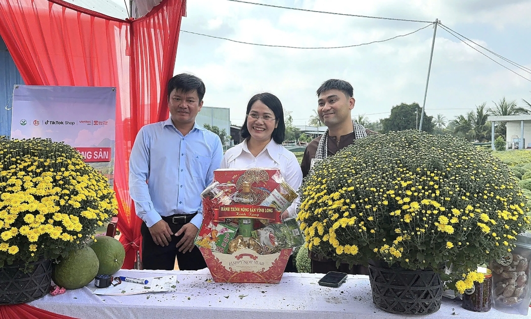 hoa Tết