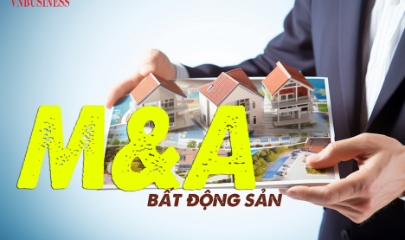 thị trường mua bán và sáp nhập (M&A) bất động sản Việt Nam
