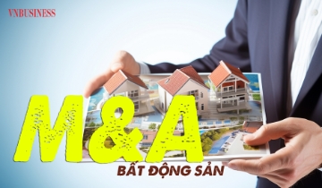 Hết thời cá lớn nuốt cá bé, đại gia địa ốc trong nước viết lại luật chơi M&A