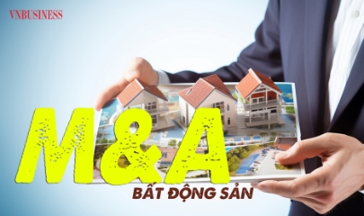 thị trường mua bán và sáp nhập (M&A) bất động sản Việt Nam