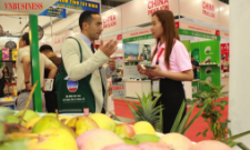 Các nhà XK rau quả Việt cần kết nối nhiều hơn với nhà thu mua quốc tế để mở rộng thị trường nhằm tạo đà tăng trưởng trong dài hạn.