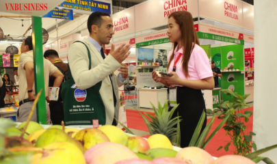 Các nhà XK rau quả Việt cần kết nối nhiều hơn với nhà thu mua quốc tế để mở rộng thị trường nhằm tạo đà tăng trưởng trong dài hạn.