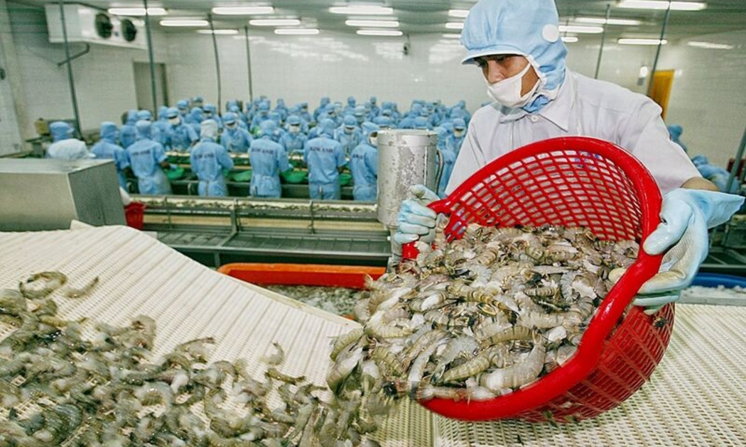 EC ghi nhận sự nghiêm túc của Việt Nam trong việc thực hiện các khuyến nghị về chống khai thác IUU.