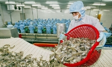 EC ghi nhận sự nghiêm túc của Việt Nam trong việc thực hiện các khuyến nghị về chống khai thác IUU.