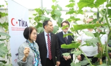 Phó chủ tịch Liên minh HTX Việt Nam tham quan mô hình sản xuất của HTX Tân Minh Đức.