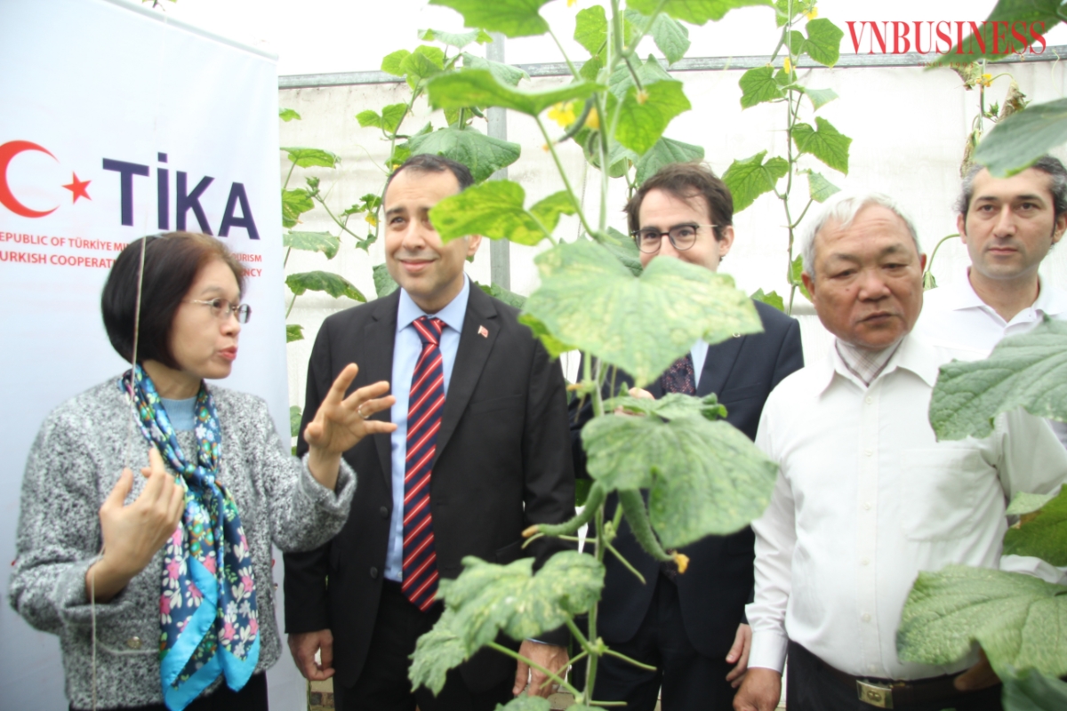 Phó Chủ tịch Liên minh HTX Việt Nam Nguyễn Thị Hoài Linh trao đổi trực tiếp với đoàn Thổ Nhĩ Kỳ về mô hình hoạt động của HTX Tân Minh Đức