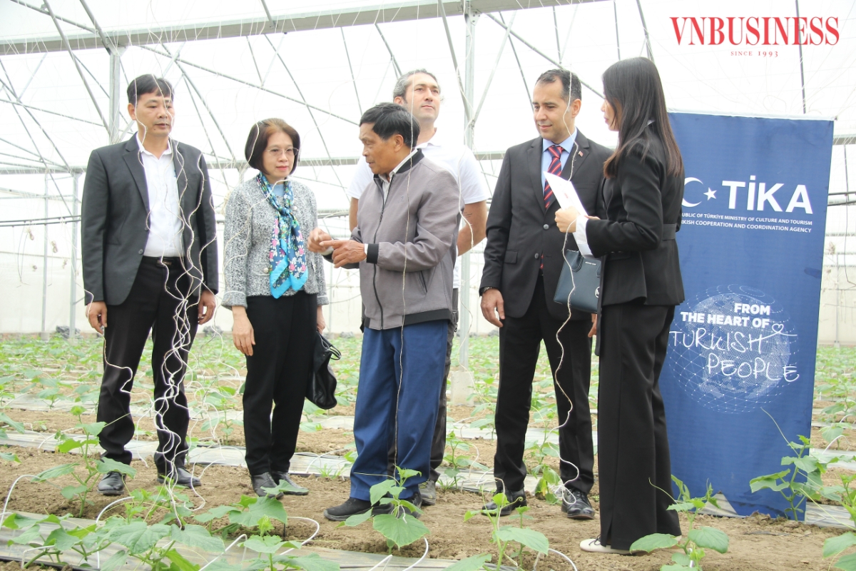 Các đại biểu tham quan tại mô hình