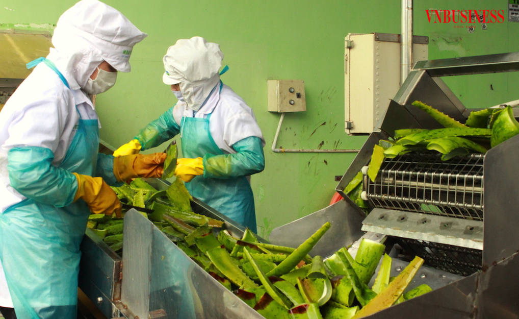 “Trong bối cảnh hiện nay, ESG không còn đơn thuần là một bộ tiêu chí hay yêu cầu tuân thủ, mà đang dần trở thành ngôn ngữ chung giữa DN, nhà đầu tư và các tổ chức tài chính”, bà Nguyễn Thái Quỳnh Lê, Ủy viên ban chấp hành Hiệp Hội các Nhà Bán Lẻ Việt Nam.