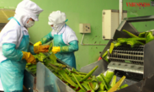 “Trong bối cảnh hiện nay, ESG không còn đơn thuần là một bộ tiêu chí hay yêu cầu tuân thủ, mà đang dần trở thành ngôn ngữ chung giữa DN, nhà đầu tư và các tổ chức tài chính”, bà Nguyễn Thái Quỳnh Lê, Ủy viên ban chấp hành Hiệp Hội các Nhà Bán Lẻ Việt Nam.