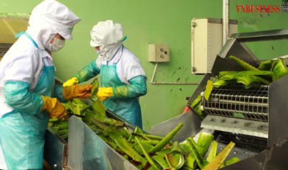 “Trong bối cảnh hiện nay, ESG không còn đơn thuần là một bộ tiêu chí hay yêu cầu tuân thủ, mà đang dần trở thành ngôn ngữ chung giữa DN, nhà đầu tư và các tổ chức tài chính”, bà Nguyễn Thái Quỳnh Lê, Ủy viên ban chấp hành Hiệp Hội các Nhà Bán Lẻ Việt Nam.