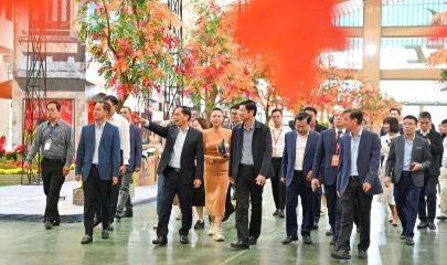 Phó Thủ tướng Bùi Thanh Sơn trong buổi đi thực tế tại Hội chợ ngày 30/1.