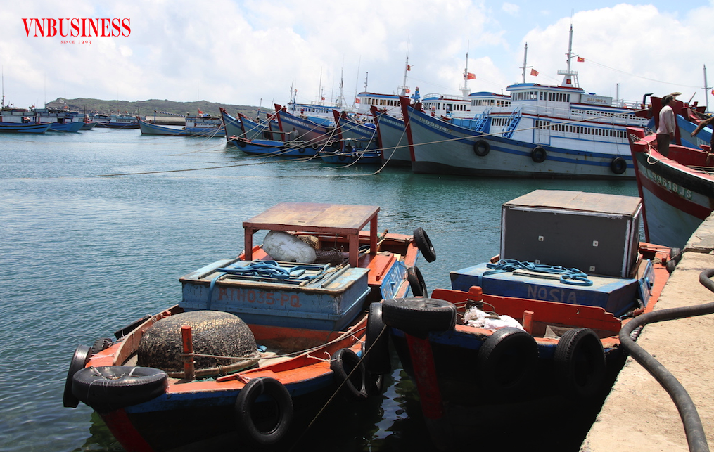 Tác động hiện rõ trong thực thi quy định MMPA ở Mỹ đang ảnh hưởng lớn đến hoạt động đánh bắt hải sản của Việt Nam.