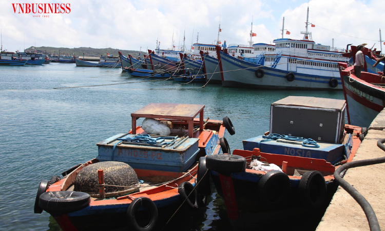Mỹ siết MMPA, COA và thuế chống bán phá giá: Xuất khẩu thủy sản đối mặt “cơn gió ngược” lớn