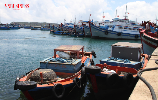 Tác động hiện rõ trong thực thi quy định MMPA ở Mỹ đang ảnh hưởng lớn đến hoạt động đánh bắt hải sản của Việt Nam.