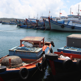 Tác động hiện rõ trong thực thi quy định MMPA ở Mỹ đang ảnh hưởng lớn đến hoạt động đánh bắt hải sản của Việt Nam.