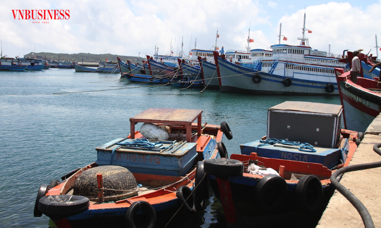 Mỹ siết MMPA, COA và thuế chống bán phá giá: Xuất khẩu thủy sản đối mặt “cơn gió ngược” lớn