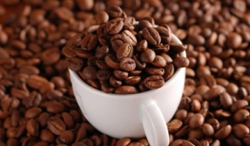 Giá cà phê trong nước bật tăng trở lại, giữ vững mốc 100.000 đồng/kg trước Tết