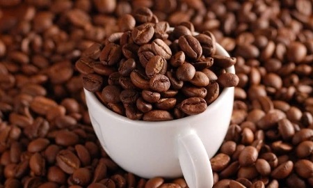 Giá cà phê tăng nhẹ ở các vùng trồng.