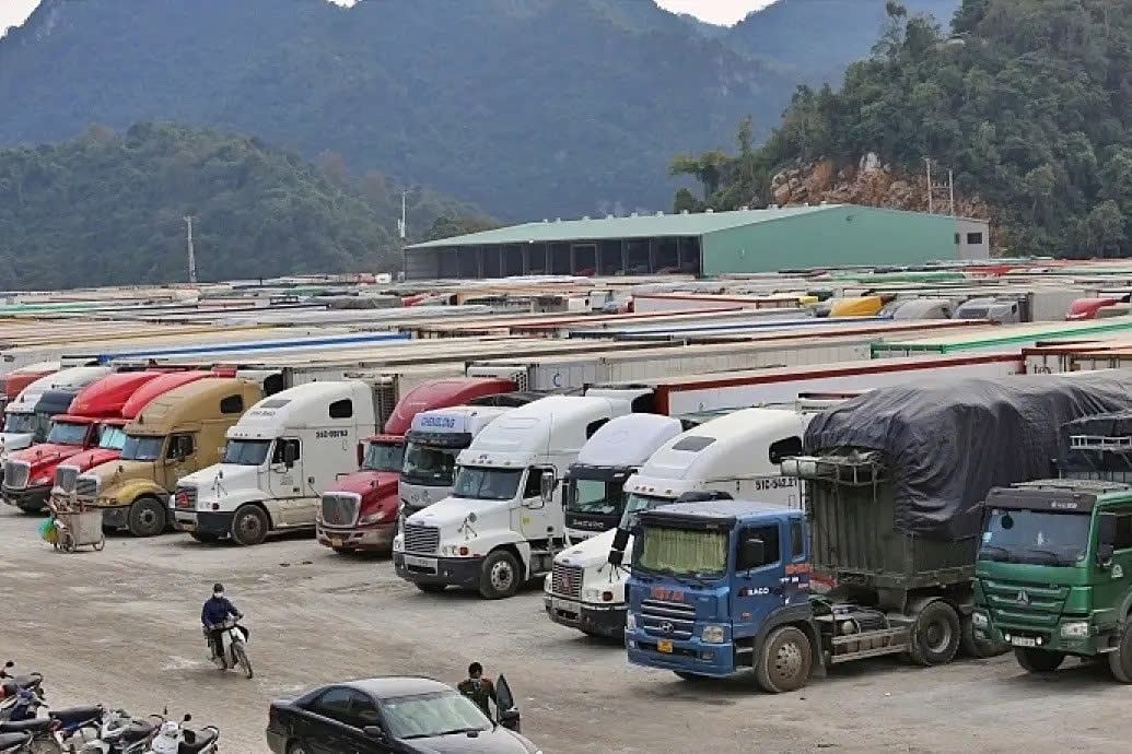 Hải quan yêu cầu toàn ngành trực 24/7, ưu tiên tối đa việc thông quan thực phẩm để tránh đứt gãy nguồn cung dịp cận Tết.